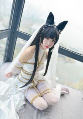 电影犬王_蓝光免费观看视频