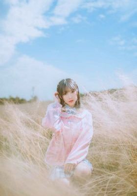 乡村爱情变奏曲_BD英语在线播放观看